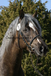 onnarpskiller_173_7321.jpg