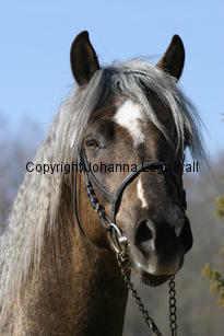 onnarpskiller_173_7322.jpg
