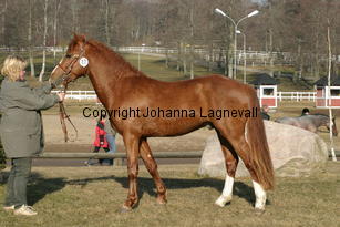 abackensimperial_169_6972.jpg