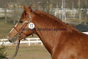 abackensimperial_169_6974.jpg