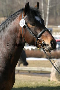 angsgardenizzy_170_7013.jpg