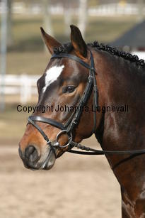 angsgardenizzy_172_7266.jpg