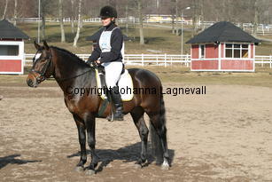 angsgardenizzy_172_7268.jpg