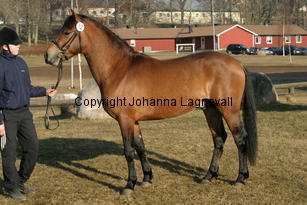 champion_169_6944.jpg