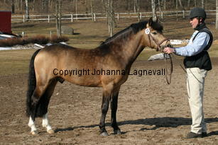 dimmanseros_169_6976.jpg