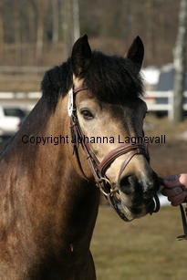dimmanseros_169_6977.jpg