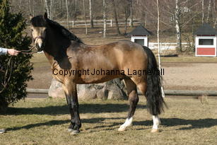 dimmanseros_170_7029.jpg