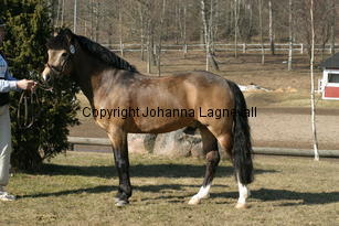 dimmanseros_170_7030.jpg
