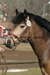 dimmanseros_170_7034.jpg