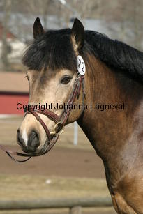 dimmanseros_170_7035.jpg