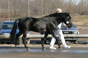 hamletsmerick_170_7003.jpg