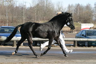 hamletsmerick_170_7005.jpg