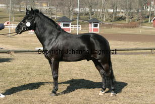 hamletsmerick_170_7045.jpg
