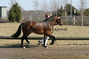 kantjestopboy_171_7200.jpg