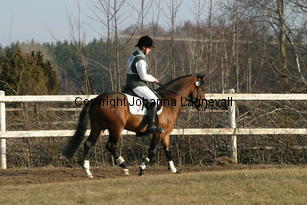 kantjestopboy_172_7244.jpg
