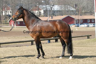 kantjestopboy_173_7336.jpg