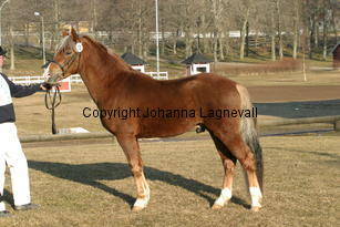 keimoselliot_169_6931.jpg