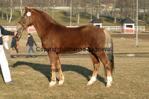 keimoselliot_169_6932.jpg