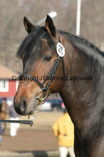 marrondalesoconnor_169_6994.jpg