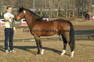 stackarpspeeron_169_6936.jpg