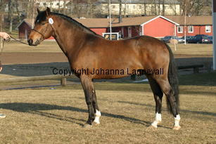 stackarpspeeron_169_6937.jpg