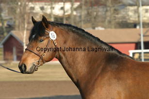 stackarpspeeron_169_6938.jpg