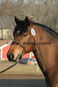 stackarpspeeron_169_6940.jpg