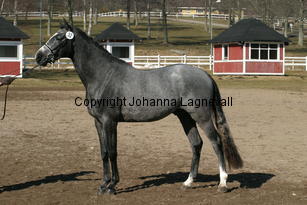 bocaccioarden_170_7058.jpg