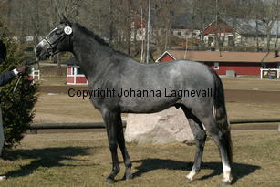 bocaccioarden_171_7108.jpg