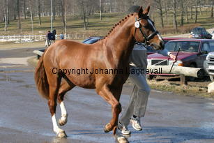 egpauli_170_7090.jpg