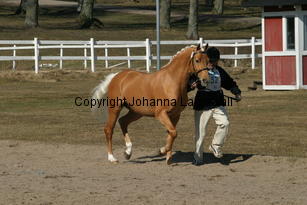 jarno_171_7132.jpg