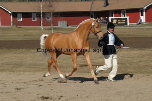 jarno_171_7134.jpg