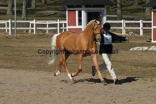 jarno_171_7135.jpg