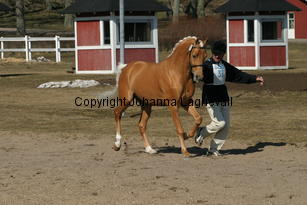 jarno_171_7136.jpg