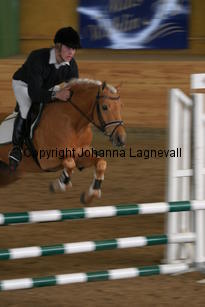 jarno_172_7236.jpg