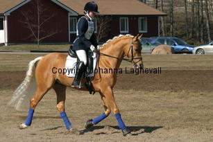 jarno_173_7349.jpg