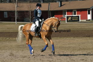 jarno_173_7354.jpg