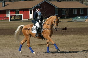 jarno_173_7355.jpg