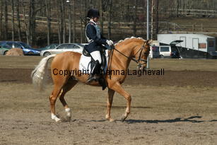 jarno_173_7358.jpg