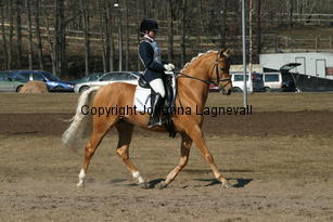 jarno_173_7359.jpg