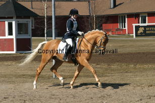 jarno_173_7365.jpg
