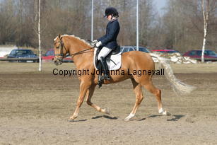 jarno_174_7401.jpg