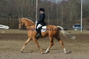 jarno_174_7402.jpg