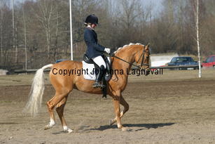 jarno_174_7404.jpg