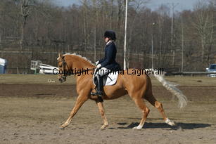 jarno_174_7406.jpg