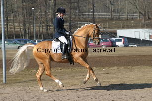jarno_174_7408.jpg