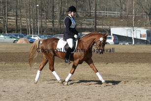 mahrdorfdragoon_173_7382.jpg