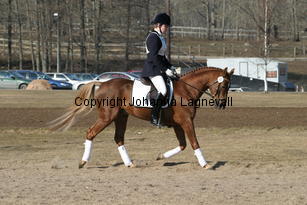 mahrdorfdragoon_173_7384.jpg