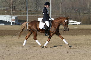 mahrdorfdragoon_173_7385.jpg