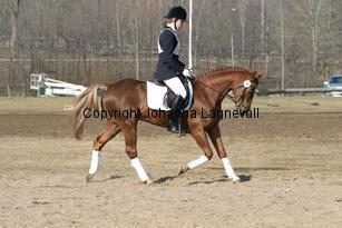 mahrdorfdragoon_173_7386.jpg